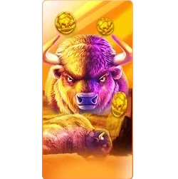 Buffalo
King SVIP9