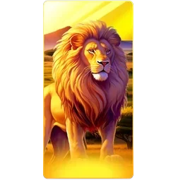 Lion
Safari SVIP9